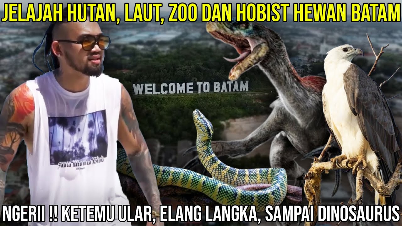 JELAJAH HUTAN, LAUT, ZOO DAN HOBIST HEWAN BATAM | NGERI! KETEMU ULAR, ELANG LANGKA SAMPAI DINOSAURUS