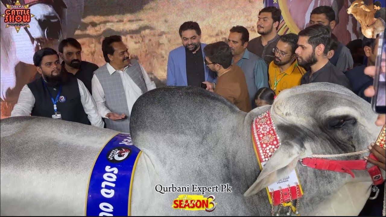 Palba team from Punjab visited Dalfa cattle show season 3 | Karachi