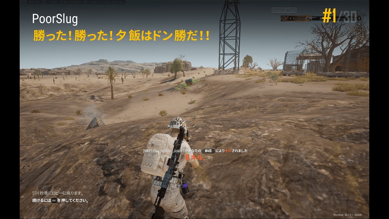 【PUBG】138勝目【ぬかりんぴっく】