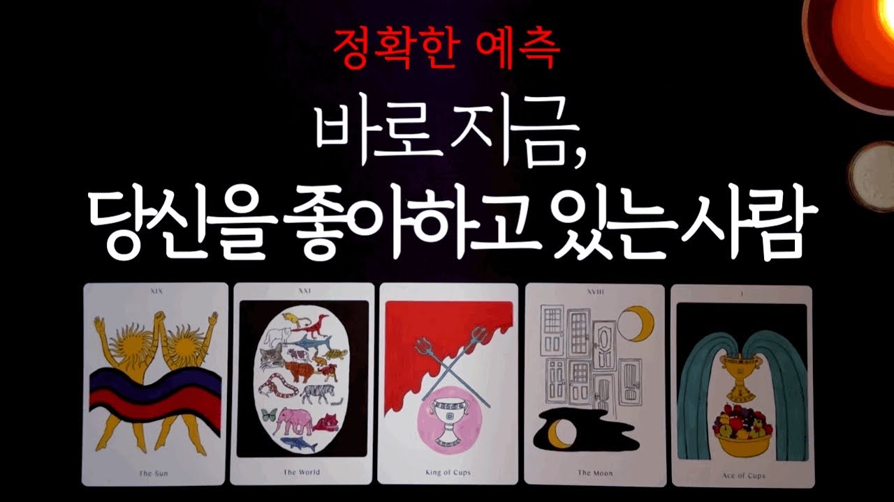 [타로 연애운] 바로 지금, 나를 좋아하고 있는 사람👩‍❤️‍👨