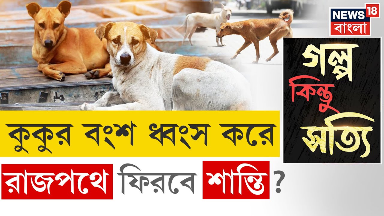 Delhi Stray Dogs : Supreme Court এর নির্দেশে দিল্লির রাজপথে শেষ হবে কুকুর বংশ? | N18P