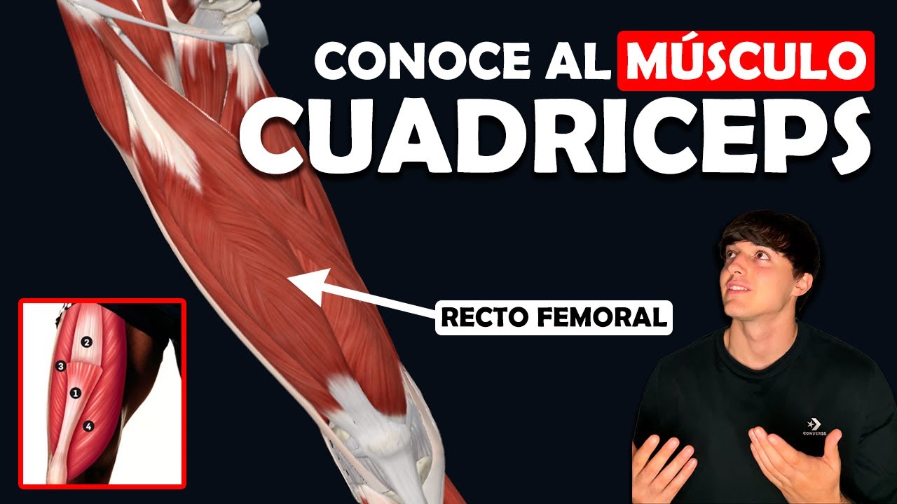 CUADRICEPS: Todo lo que debes saber - Ep. 16