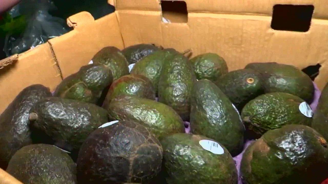Avocado shortage? There's good news after U.S. banned imports of avocados from Mexico
