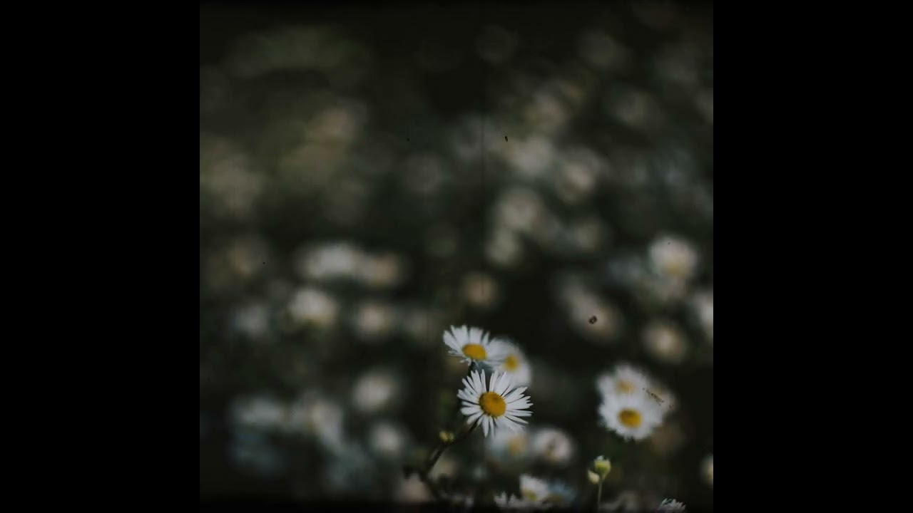 Margaret | Collaboration with Brendan Dempsey