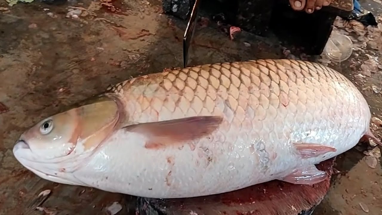 Amazing Cutting skills  Big Rui Fish Skinning & Cutting In Bangladesh market