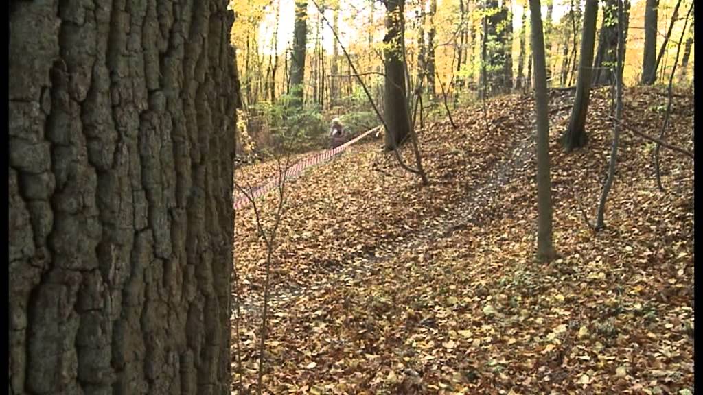 Lokalsport: Querfeldeinrennen