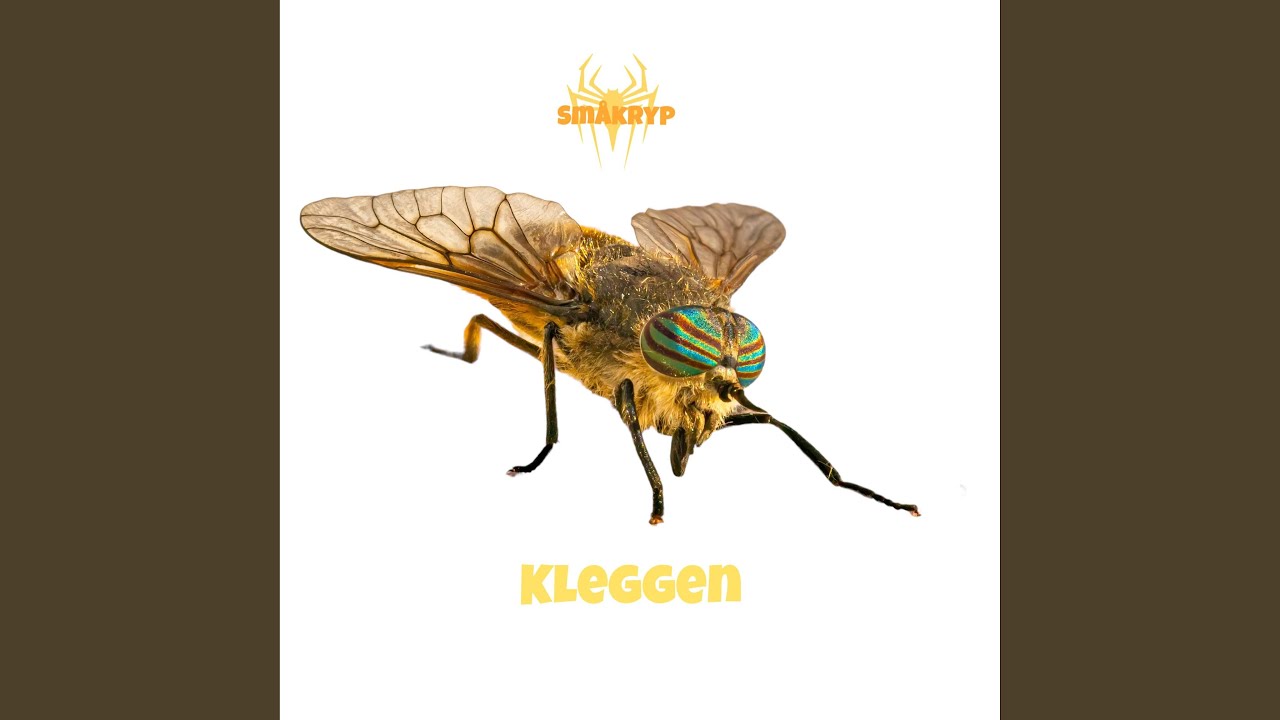 Kleggen