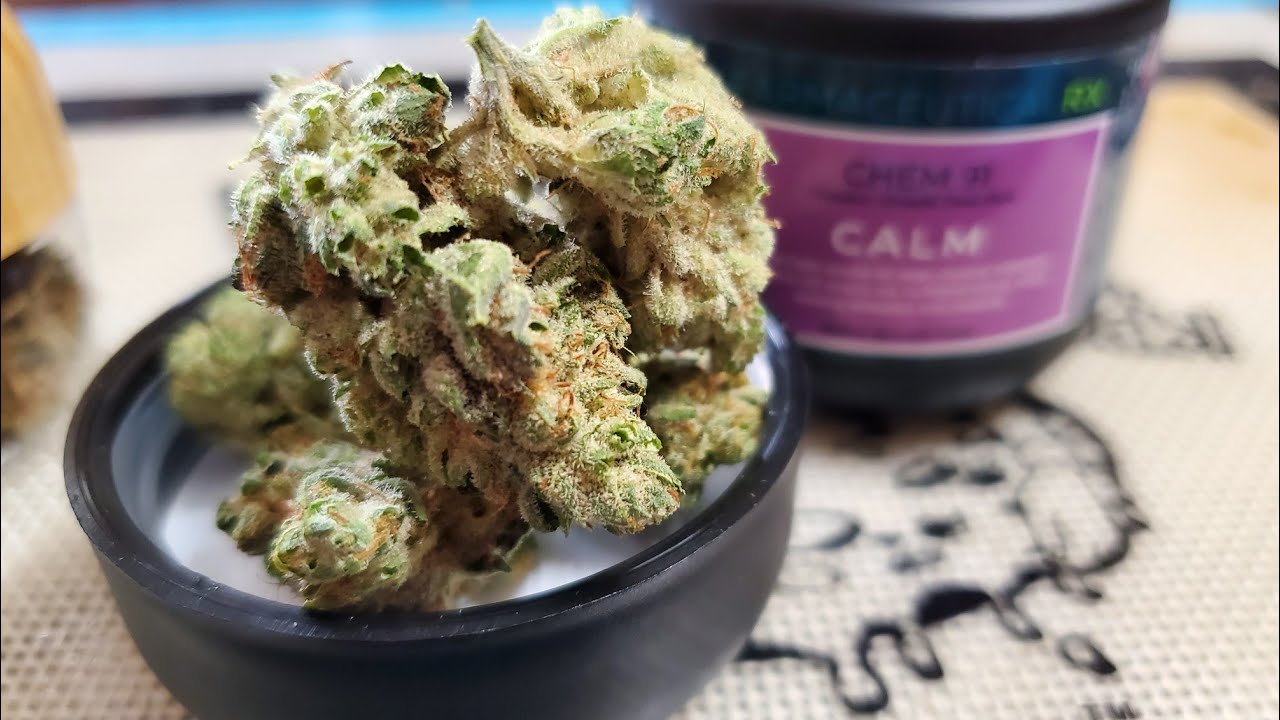 CHEM 91 FLOWER BY FARMACEUTICAL RX