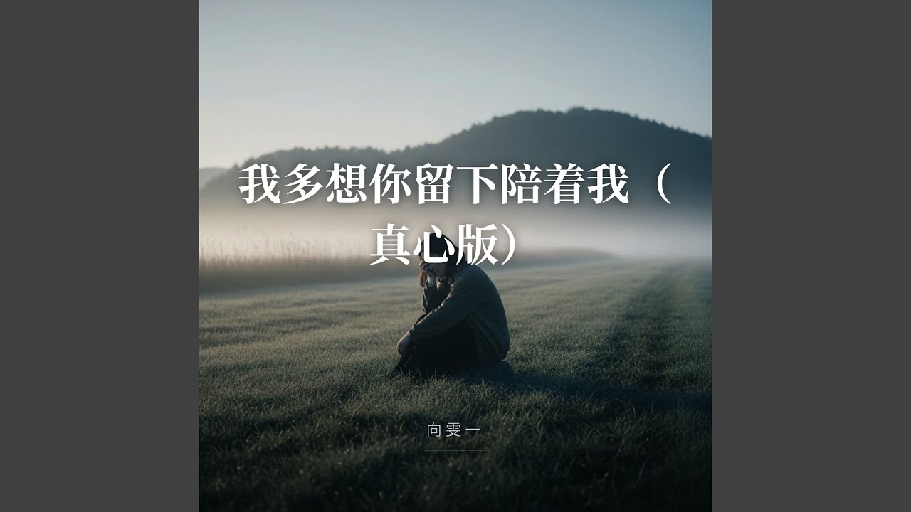 我多想你留下陪着我（真心版）