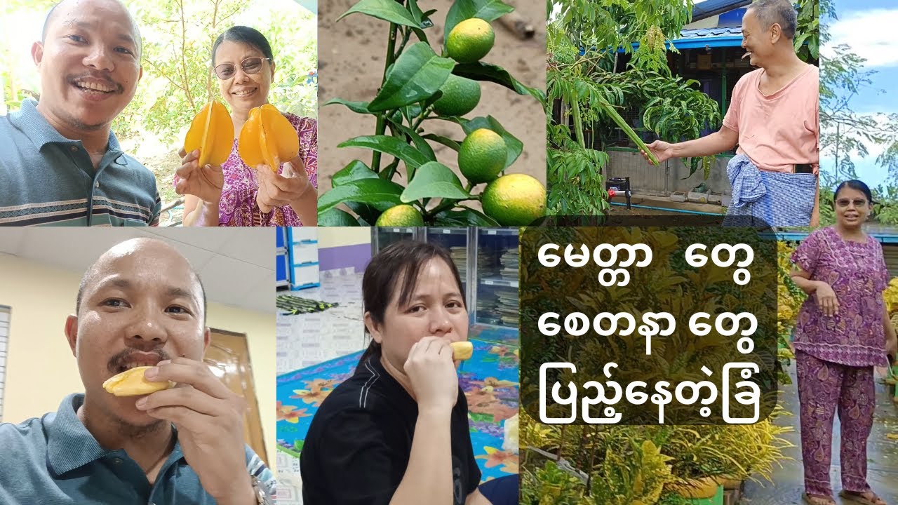 ကျွန်တော်တို့အတွက် မေတ္တာ စေတနာတွေ ပြည့်နေတဲ့ခြံ