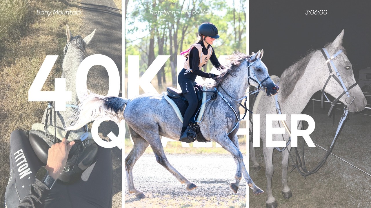 First Endurance ride of the year with Prince! | 40km