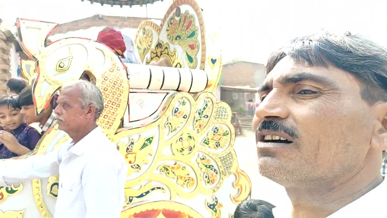 विश्वनाथ महादेव मूर्ति प्राणप्रतिष्ठा महोत्सव 