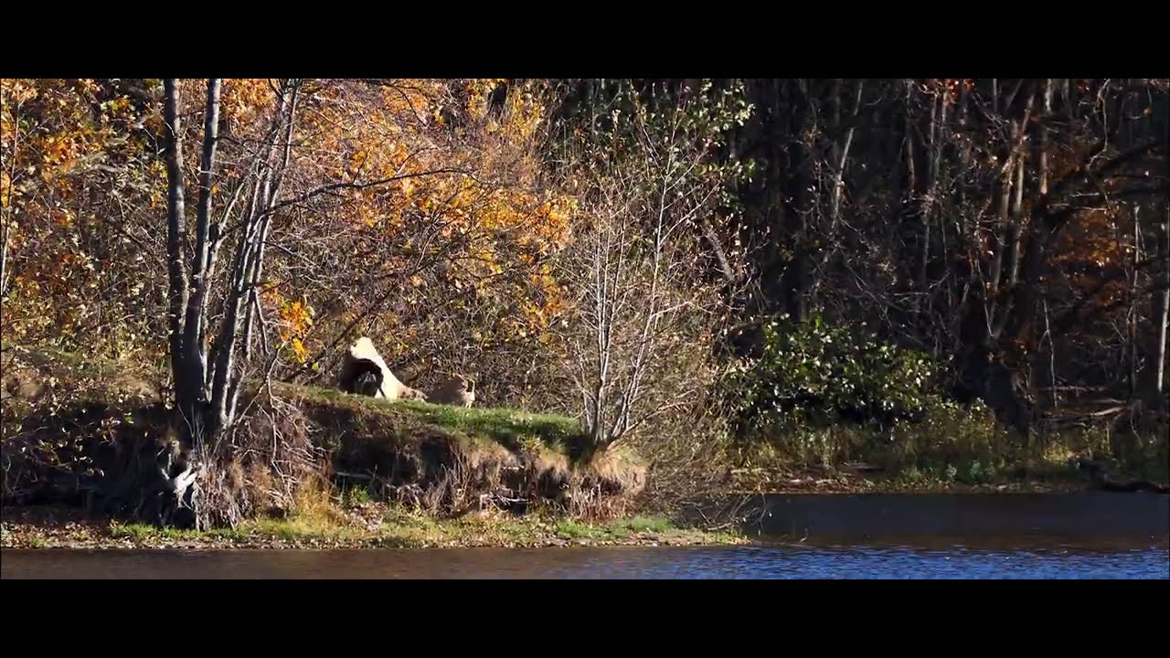 Um den See bei Großbeuthen