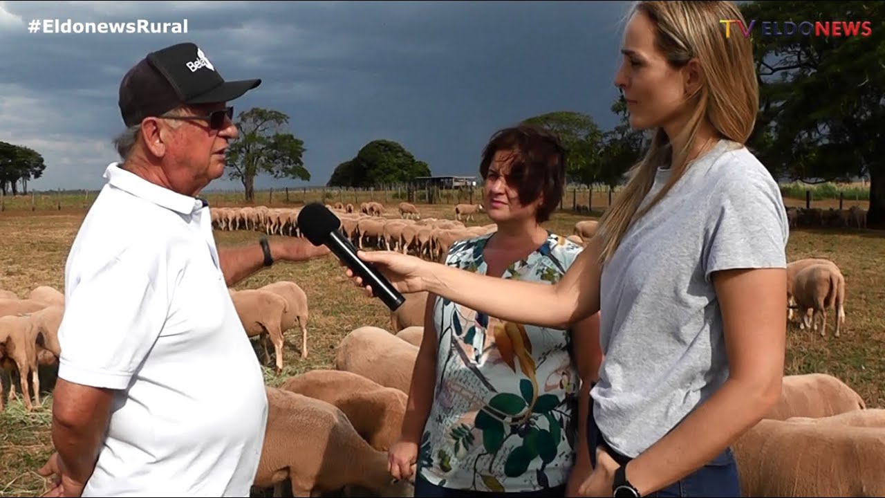 Conheça a fazenda Caçula modelo na criação de Ovinos na região, e o delicioso churrasco de carneiro
