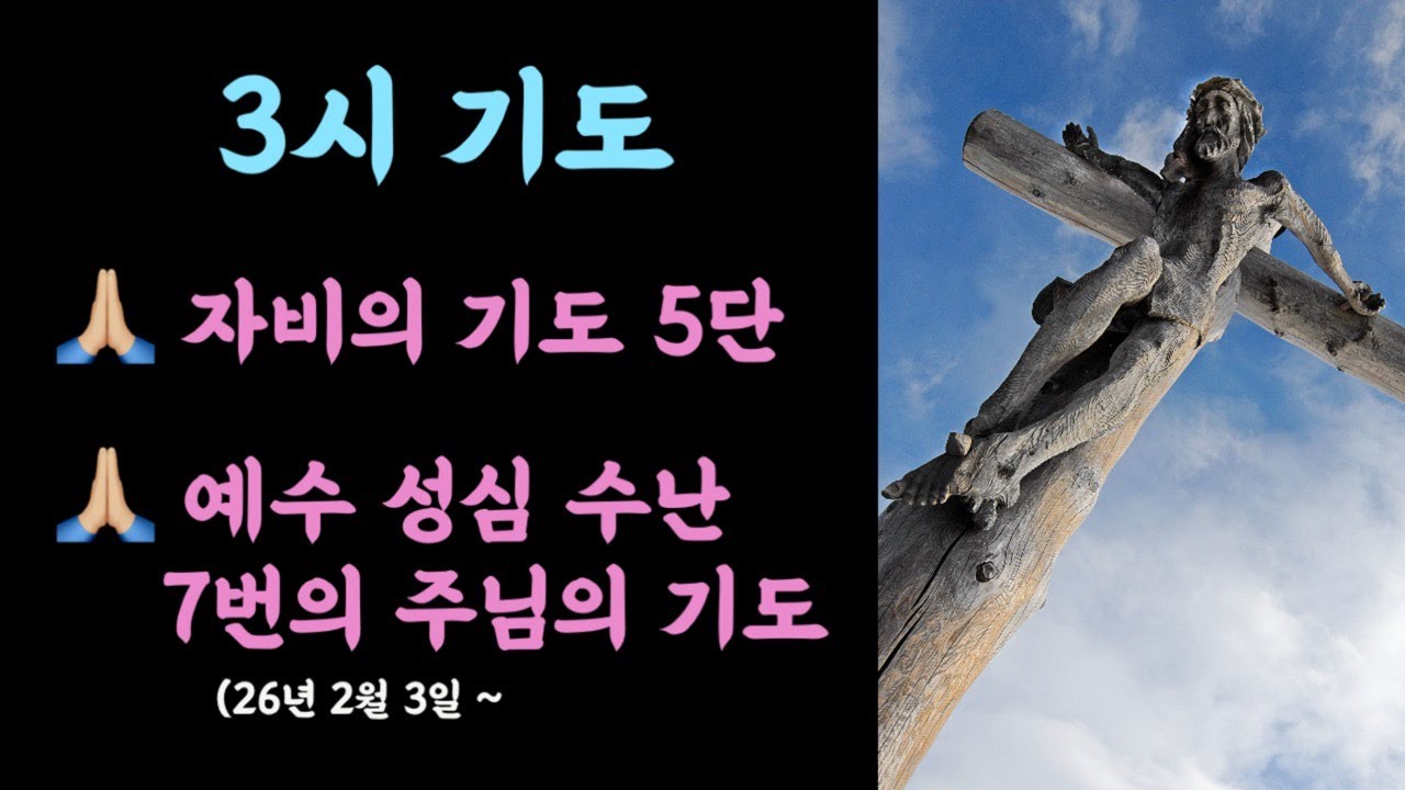 🌿3시 기도 하느님의 자비를 구하는 5단 기도/예수 성심 수난 12년 기도 #세레나의치유의숲 #자비의기도 #자비의5단기도 #7번의주님의기도 #비르지타의기도 #예수수난묵상기도