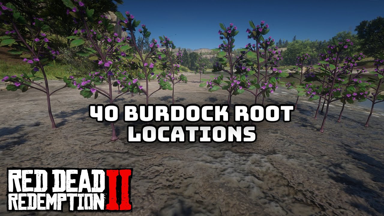 40 мест нахождения корня лопуха в Red Dead Redemption 2
