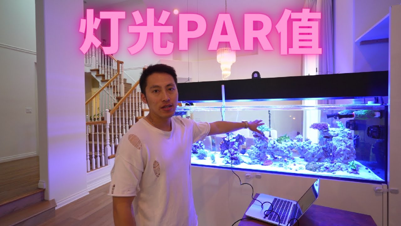 海缸照明par值测验，结果出乎意料！