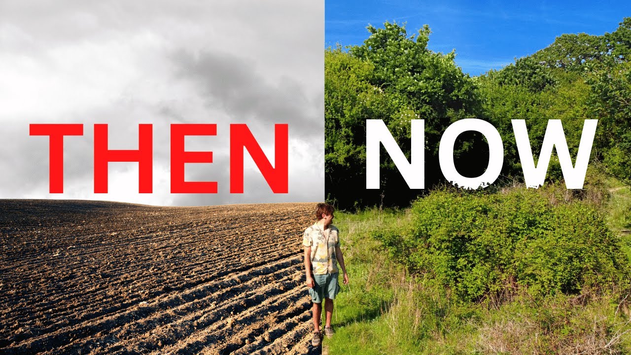 They transformed this dead land to wilderness