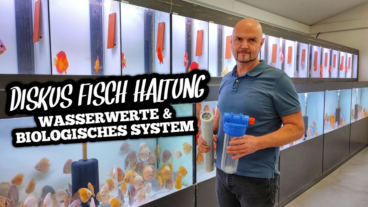 Neue DISKUS Fische, Wasserwerte & Biologisches System I @Europa Discus Center​