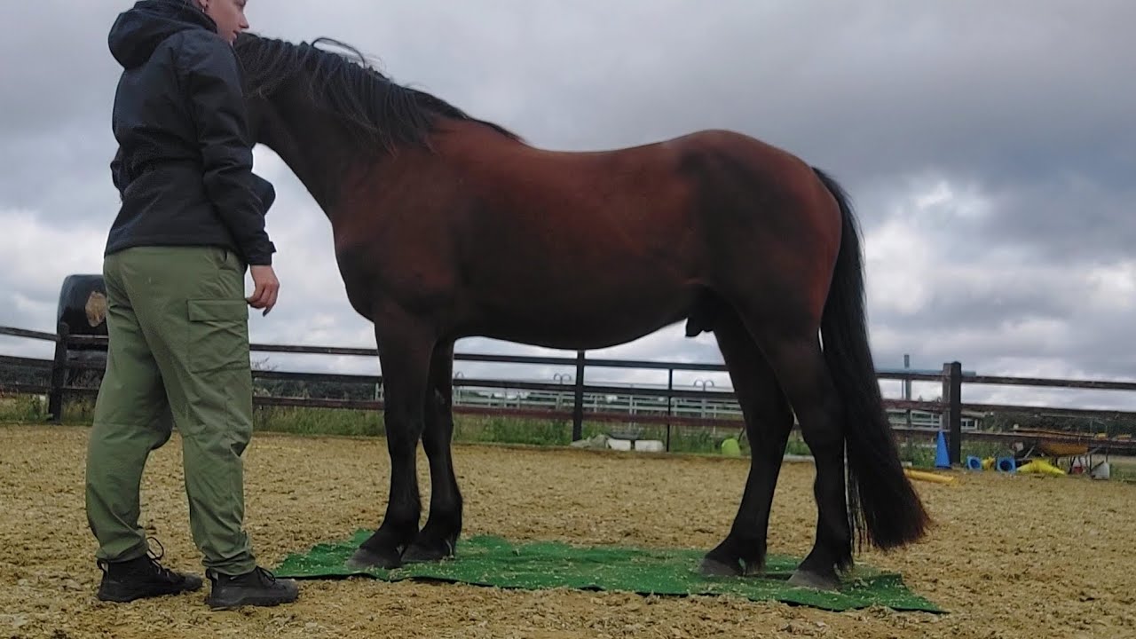 Mat training 13 September 2025