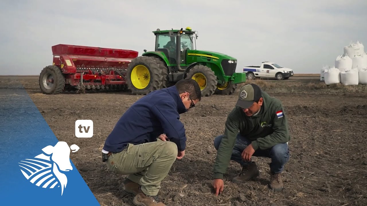 Tecnología de aplicación y control de malezas en cultivos de arroz | #217