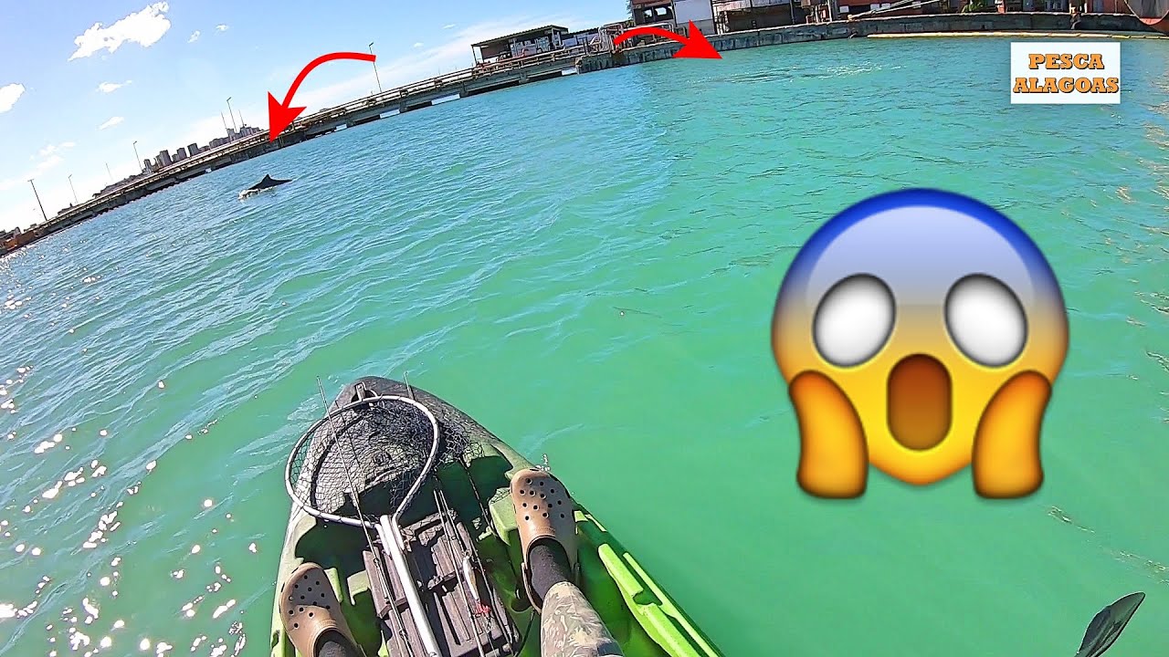 Fui pescar no Porto de Maceió, más por essa, eu não esperava. Pescaria de Robalo