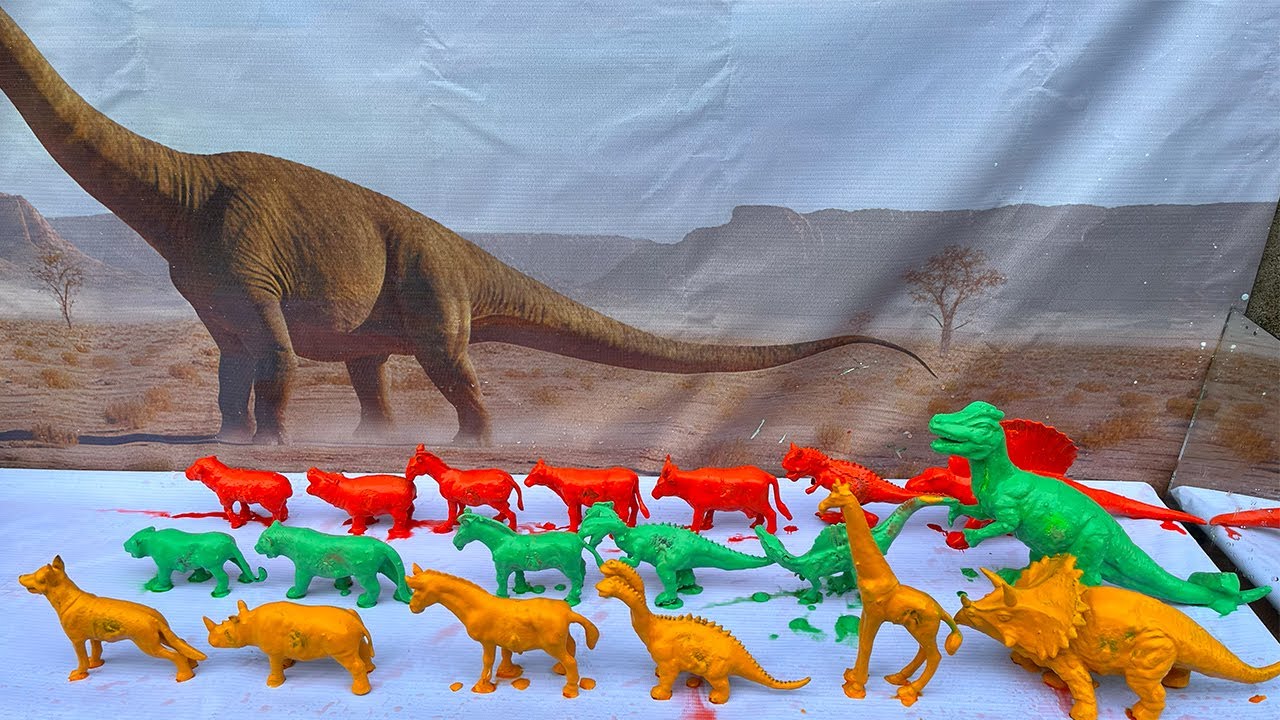 Cleaning animals cows, ducks, geese, chickens, elephants, lions, deer, cats,tigers,gorillas, panda,