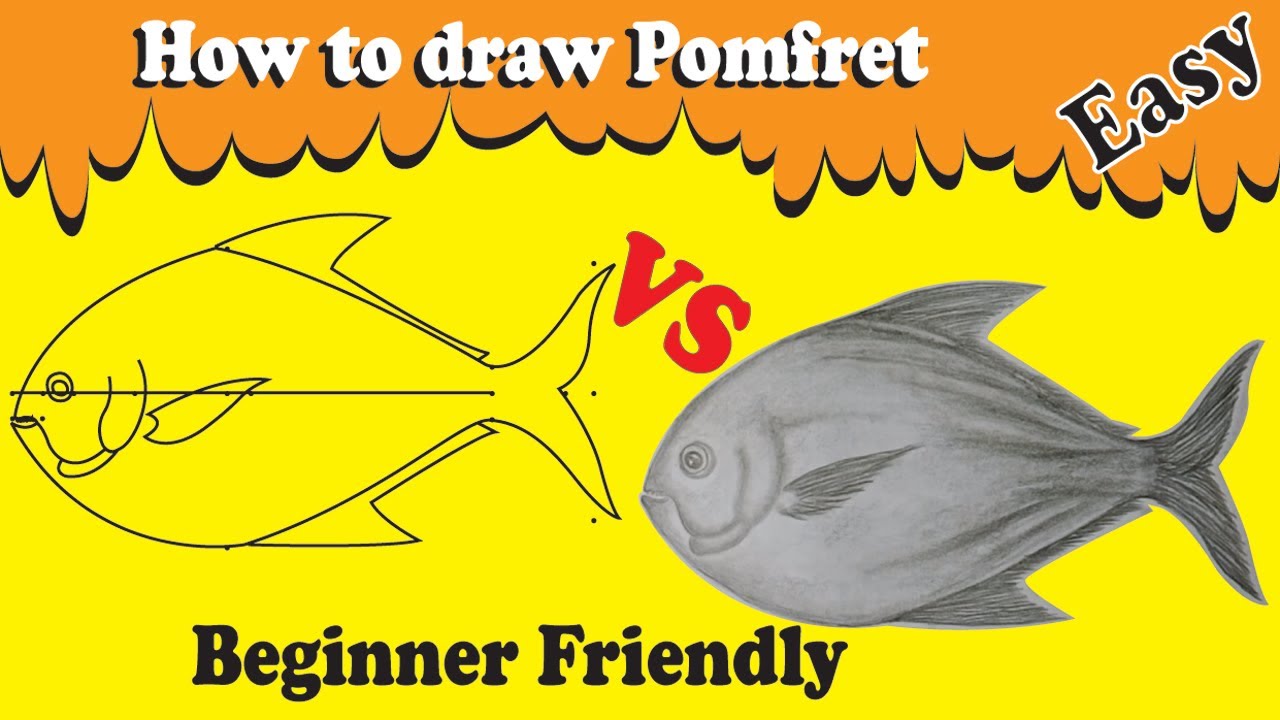 How to Draw Pomfret Fish Step by Step || pomfret drawing || Easy drawing tutorial