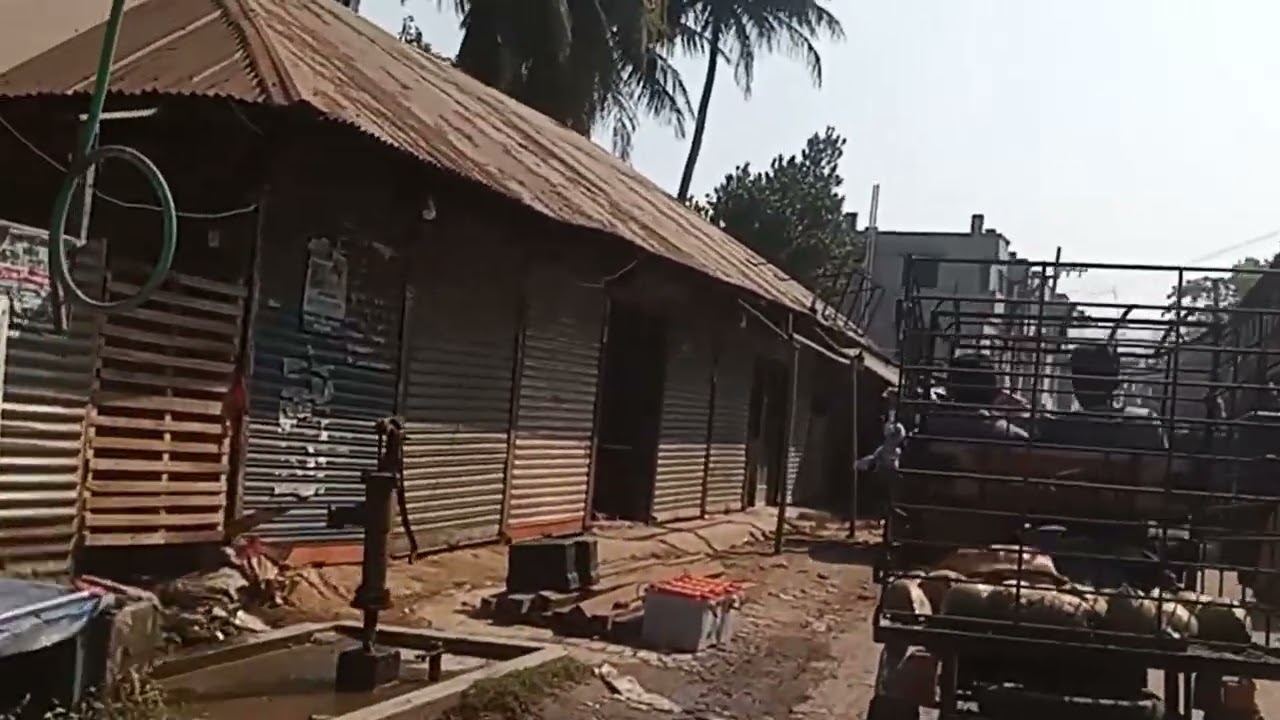 লক্ষীদরপাড়া টু বাইশিন্দুর হয়ে দশঘরিয়া রোডের  কিছু গ্রামীন দৃশ্য 