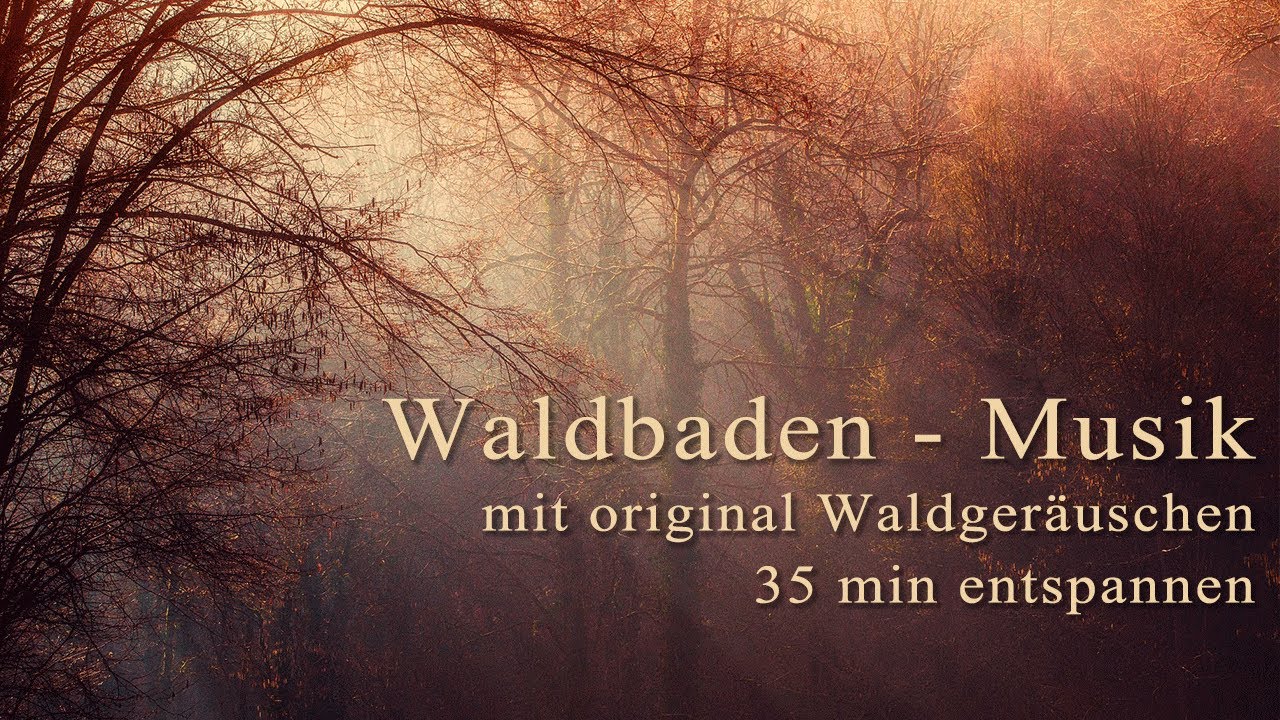 Entspannungsmusik 🌿 Waldbaden Musik Shinrin Yoku 🍁 Natur Waldger&auml;usche - forest bathing