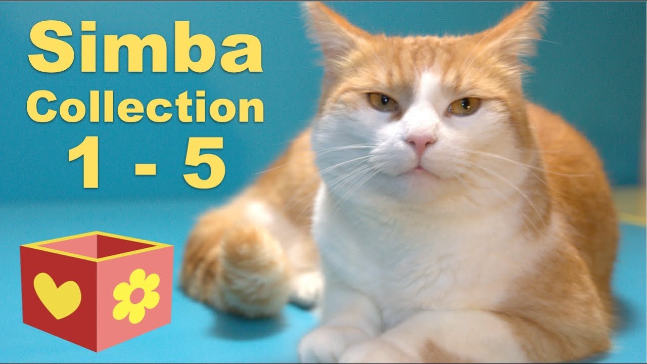 Cute Cat Collection | Bellboxes videos | Simba 1 - 5