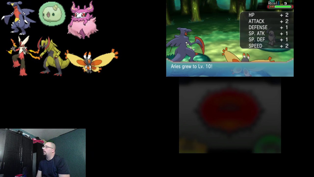pokemon Omega Ruby Double battle randomizer