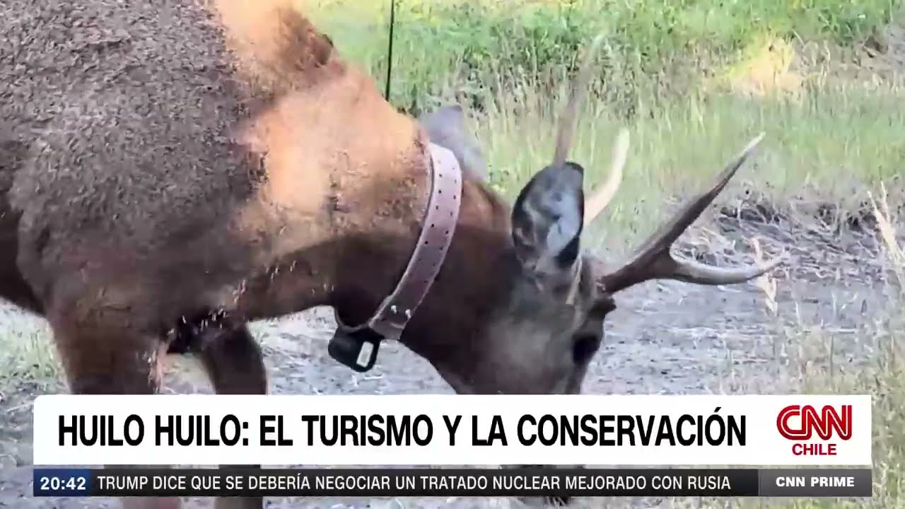 CNN Chile en Huilo Huilo (El Turismo y la Conservación) Verano 2026
