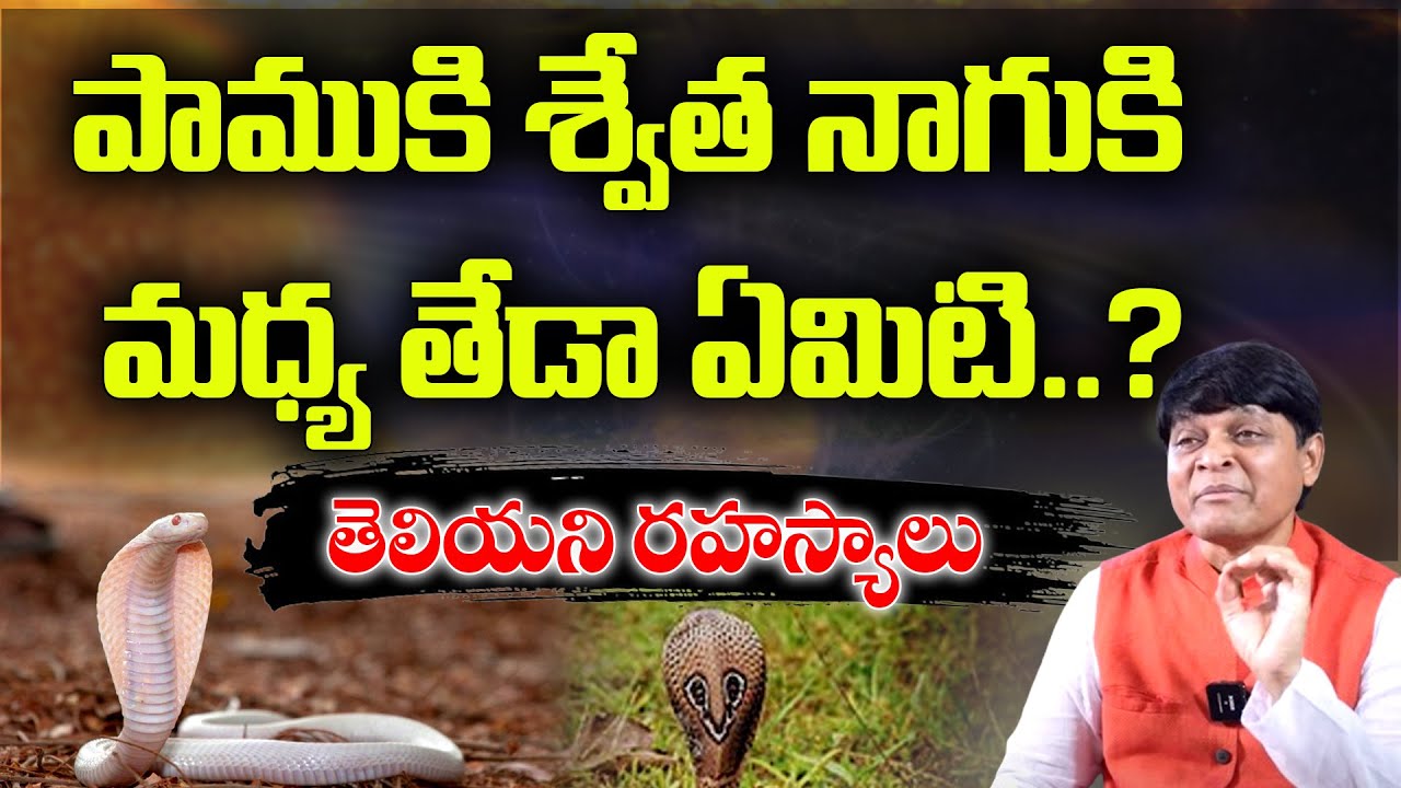 పాముకి శ్వేత నాగుకి మధ్య తేడా ఏమిటి..? | Swetha Naagu Snake | Dr. Newton Kondaveti | PMC Telugu
