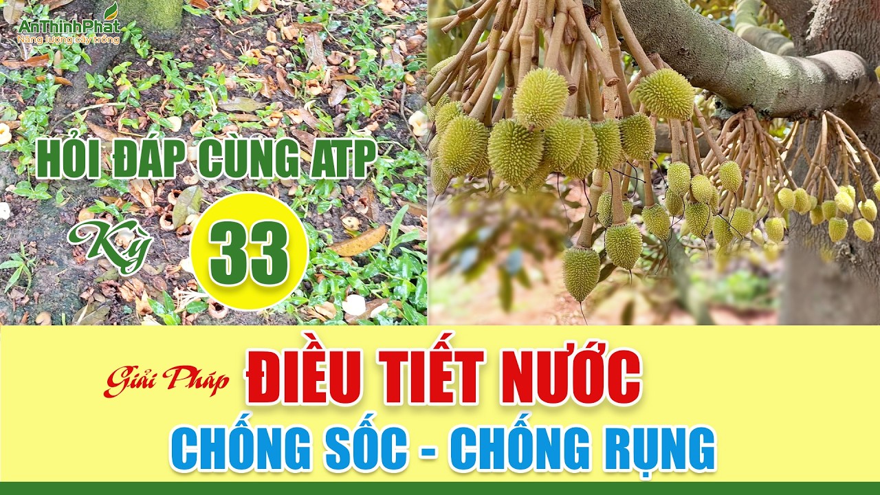 Giải Pháp Điều Tiết Nước - Chống Sốc - Chống Rụng | An Thịnh Phát