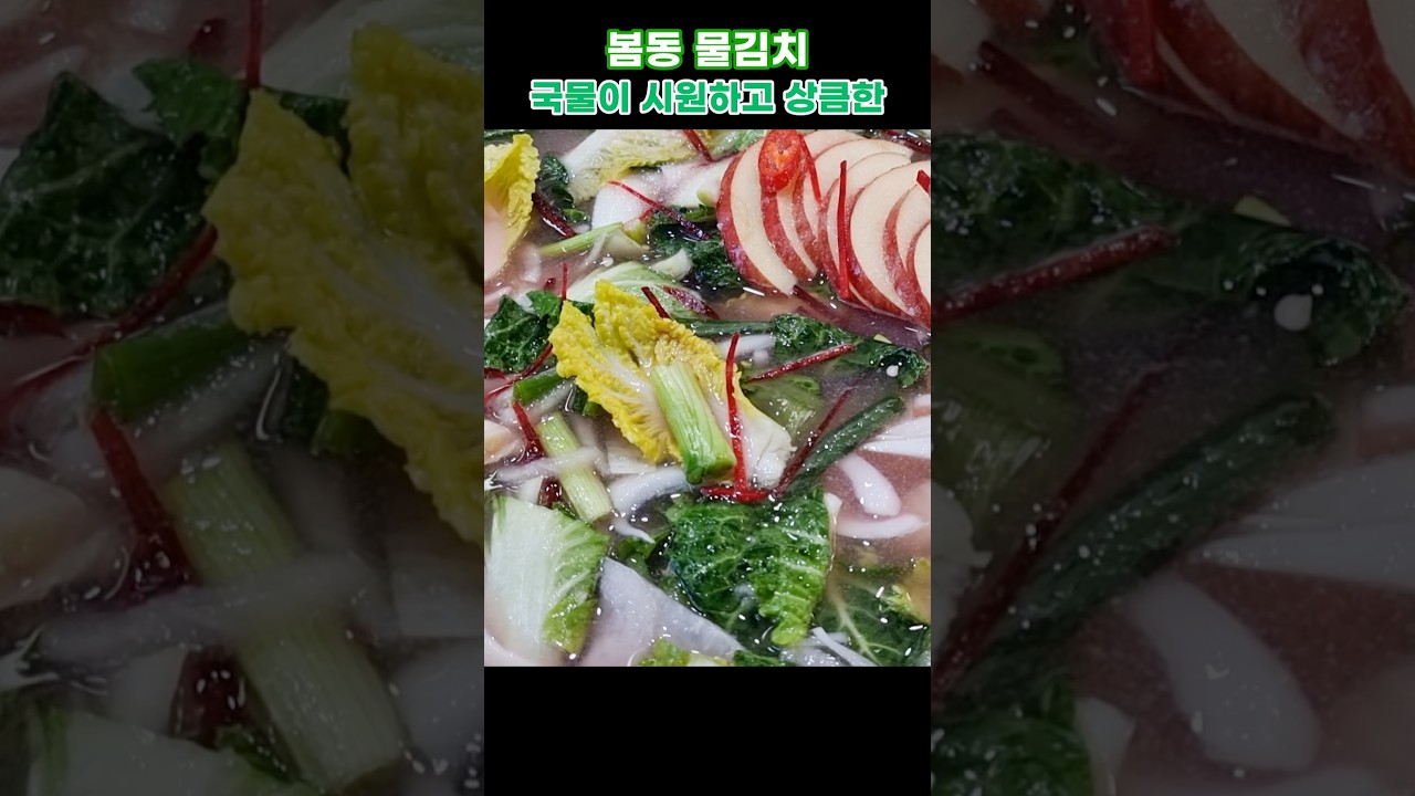 시원한 물김치 먹고 싶을 때 달고 고소한 봄동으로 하세요
