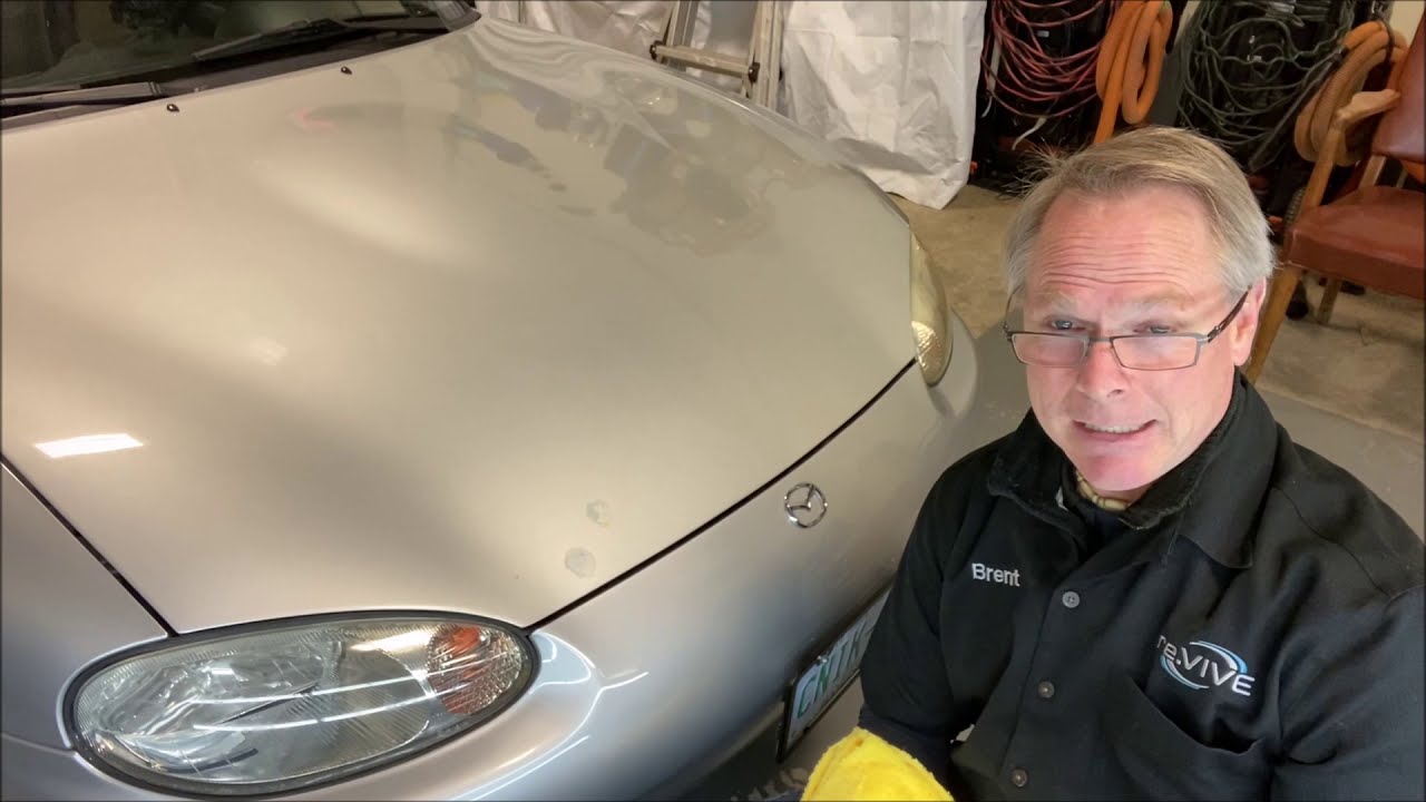 Quickly and Safely Remove Bird Dropping from Paint