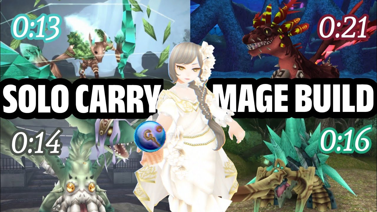Solo Mage Build Cap Lv305 | To carry your 