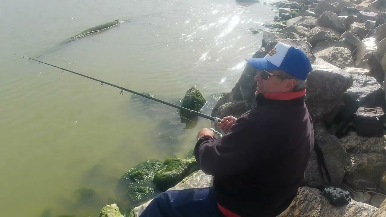 Pescando Lubinas con masilla  al Tanto