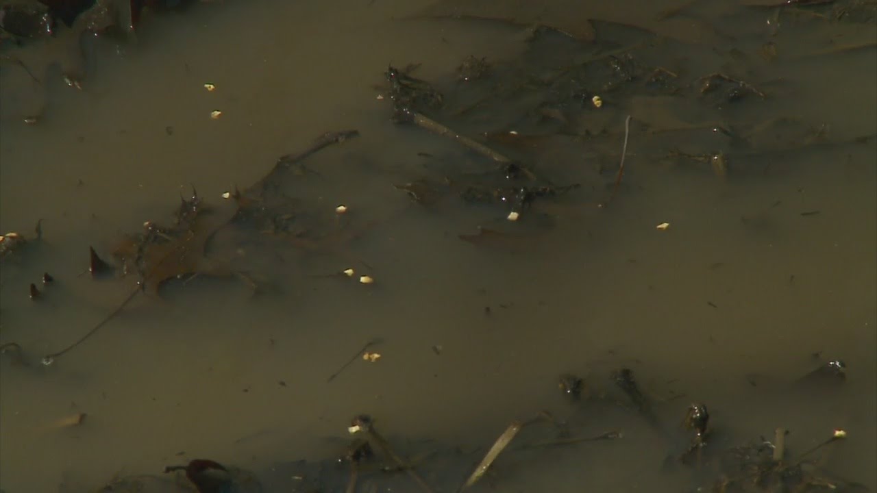 Good Question: How Does Mosquito Spraying Work?