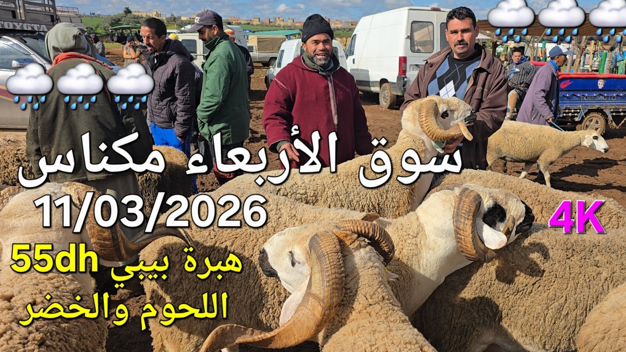 أثمنة الغنم واللحوم والخضر والفواكه سوق الأربعاء صوريا مكناس اليوم 11/03/2026