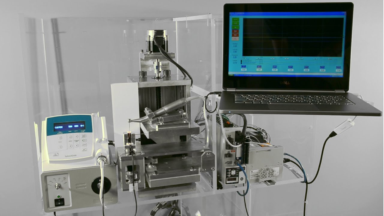 Endo File Evaluator Overview