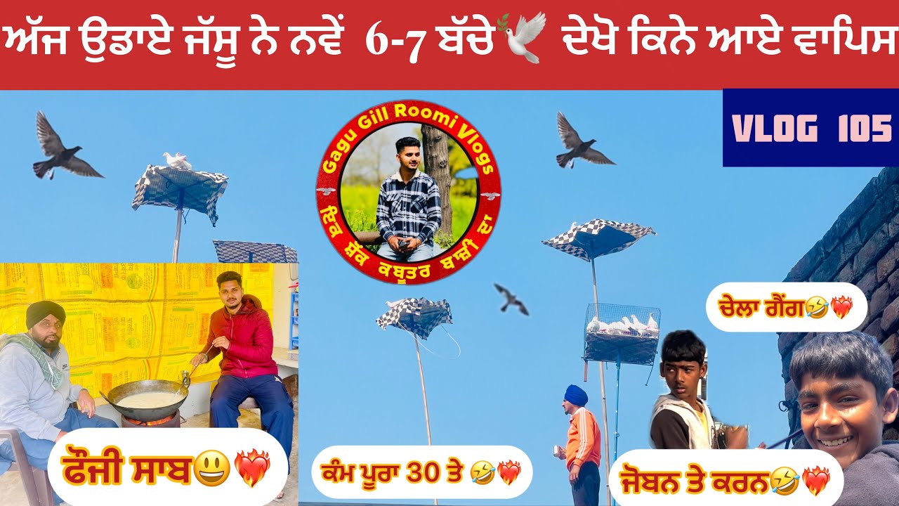 ਅੱਜ ਉਡਾਏ ਜੱਸੂ ਨੇ ਨਵੇਂ 6-7 ਬੱਚੇ ਦੇਖੋ ਕਿਨੇ ਆਏ ਵਾਪਿਸ 🕊️ਕੰਮ ਪੂਰਾ 30 ਤੇ ਕਰਤਾ 🤣❤️‍🔥 ਦੇਖੋ ਪੂਰਾ Vlog🕊️❤️‍🔥