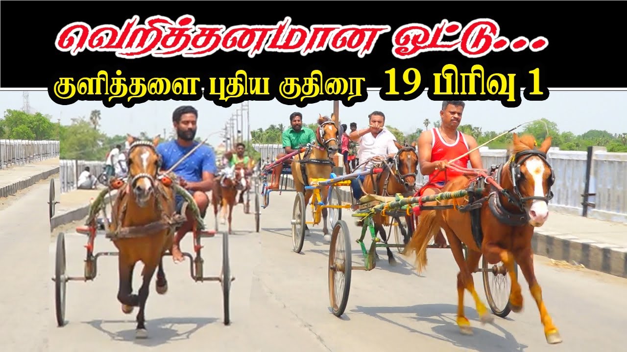 பிரிவு-1 புதிய குதிரை குளித்தலை 05-06-2022  puthiya kuthirai privu-1 kulithalai ksk rekla race