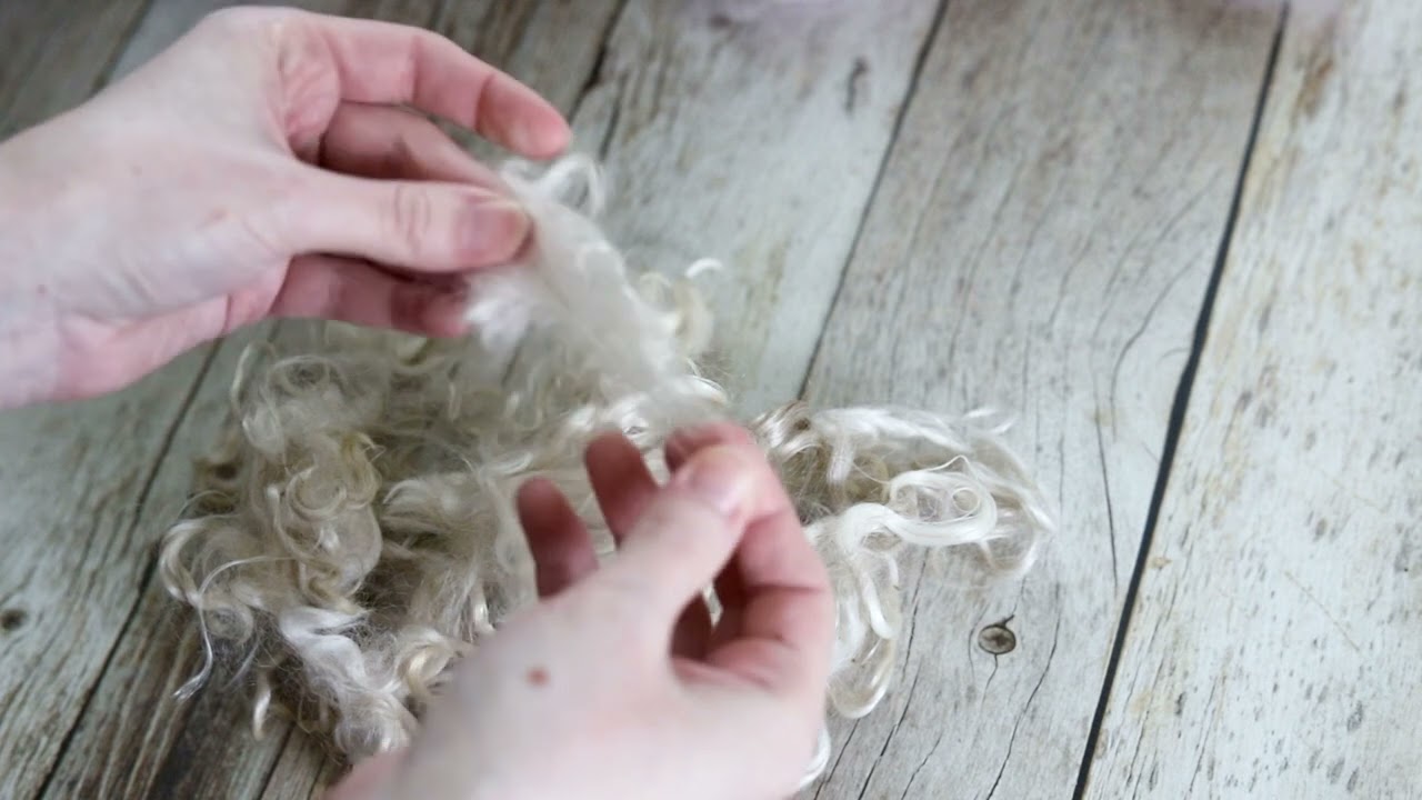 Opening Mohair Locks in Preparation for Carding