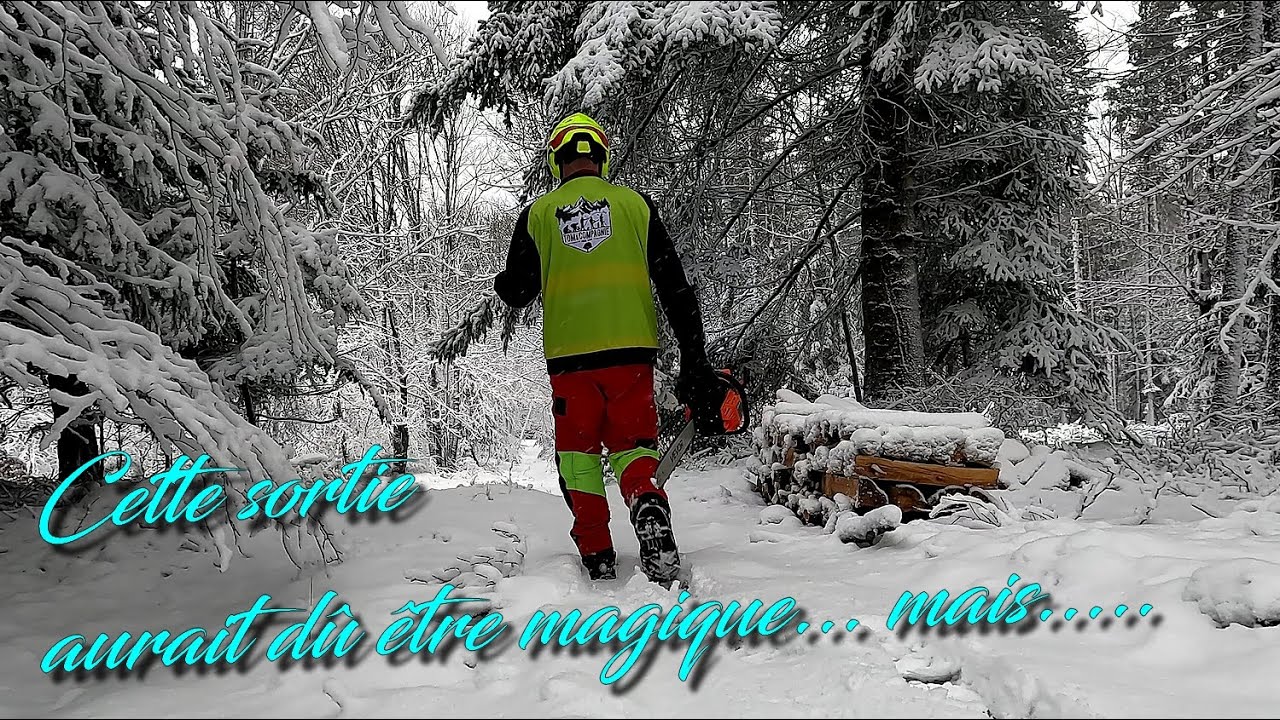 Cette sortie en forêt devait être parfaite… mais la magie n'était pas là... ❄️🌳🪓🪵🪚🌲
