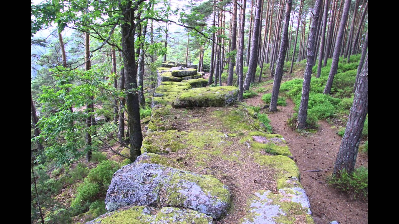 Mur païen - Mt St Odile (circuit nord)