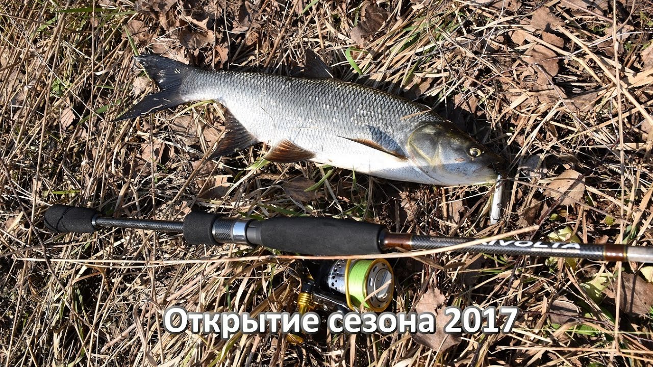 Открытие сезона 2017 - стики Slide Bait и Raphael