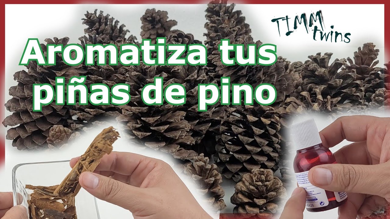 ⚱️🌟 Piñas de pino con olor a canela 🎄 Como aromatizar tus piñas- fácil😃