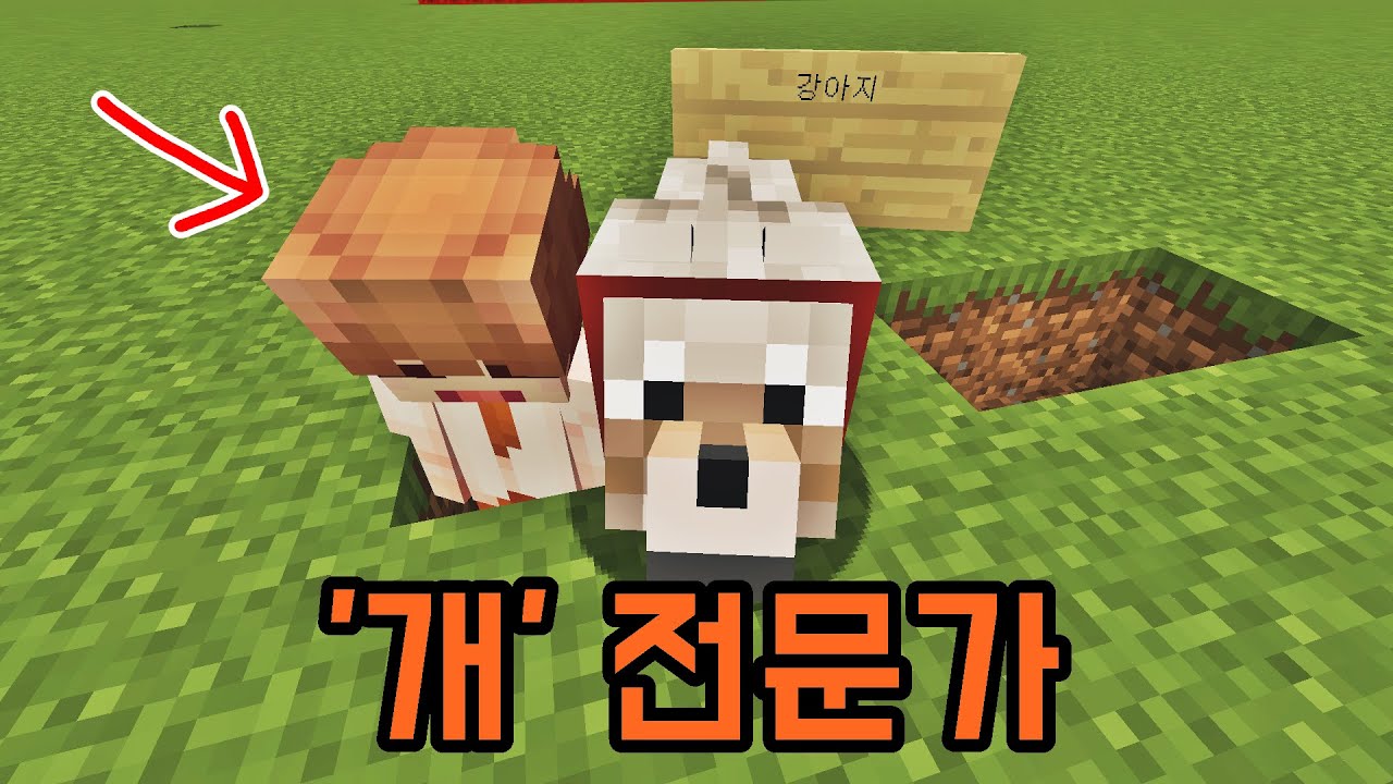 마크 '개' 전문가